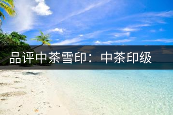 品評(píng)中茶雪?。褐胁栌〖?jí)茶的經(jīng)典傳承