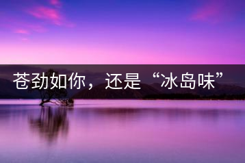 蒼勁如你，還是“冰島味”嗎？