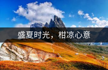 盛夏時(shí)光，柑涼心意