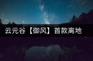 云元谷【御風(fēng)】首款離地渥堆發(fā)酵熟茶開湯品飲