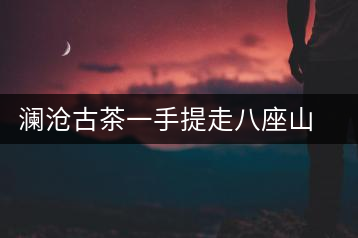 瀾滄古茶一手提走八座山（下）開湯品鑒