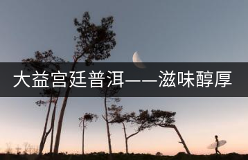 大益宮廷普洱——滋味醇厚，陳香濃郁