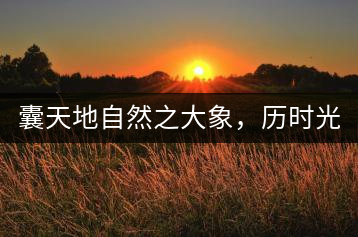 囊天地自然之大象，歷時光十載流轉(zhuǎn)-皇茶一號