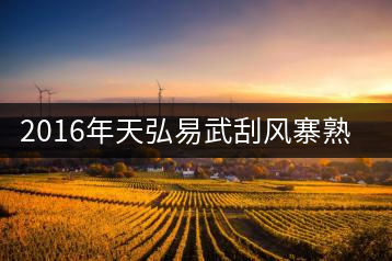 2016年天弘易武刮風(fēng)寨熟茶一泡耐人尋味！