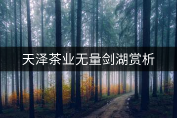 天澤茶業(yè)無量劍湖賞析
