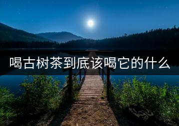 喝古樹茶到底該喝它的什么？