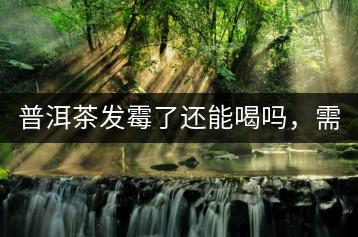 普洱茶發(fā)霉了還能喝嗎，需要怎么處理？