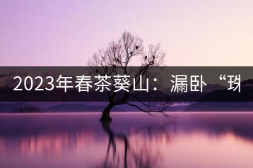 2023年春茶葵山：漏臥“珠江紅：1200元-3200元（有3個(gè)檔次）漏臥“大廠茶”：古樹(shù)單株8600-9000元／公斤，中樹(shù)4800-5200元／公斤，小樹(shù)混采2600-2800元／公斤。