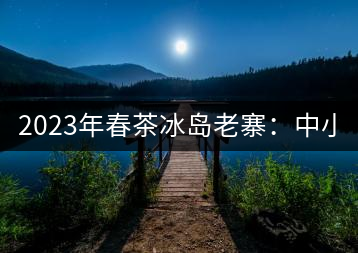 2023年春茶冰島老寨：中小樹(shù)混采2500-3000元／公斤，大樹(shù)：7000-8000元／公斤，古樹(shù)混采：28000-36000元／公斤