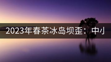 2023年春茶冰島壩歪：中小樹800元／公斤，古樹1400-1600元／公斤