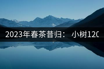 2023年春茶昔歸： 小樹1200-1600元／公斤，大樹4500-5200元／公斤，古樹7500-9000元／公斤.