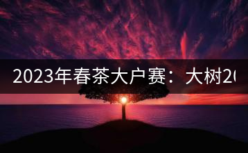 2023年春茶大戶賽：大樹200-300元／公斤，古樹800-1000元／公斤