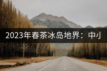 2023年春茶冰島地界：中小樹1300-1500元／公斤，古樹2200~2500元／公斤