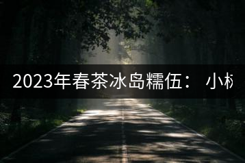 2023年春茶冰島糯伍： 小樹1300元／公斤，古樹：2100~2300元／公斤
