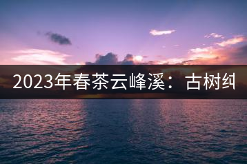 2023年春茶云峰溪：古樹純料：1200-1500元／公斤，古樹混采800-1000元／公斤，大樹500-800元／公斤，小樹300-500元／公斤