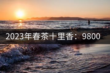 2023年春茶十里香：9800-12000元／公斤，十里香紅茶：9800-12000元／公斤