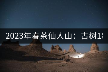 2023年春茶仙人山：古樹1800-2500元／公斤，老曼峨：小樹：600元／公斤 1600-1800元／公斤