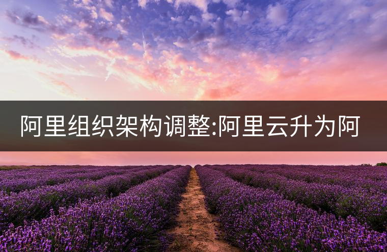 阿里組織架構(gòu)調(diào)整:阿里云升為阿里云智能