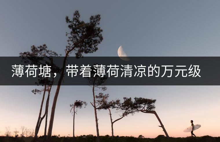 薄荷塘，帶著薄荷清涼的萬元級普洱