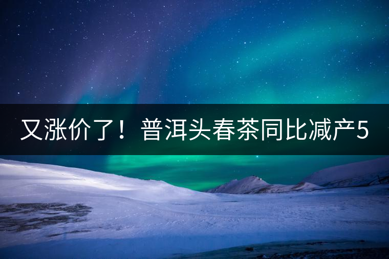 又漲價(jià)了！普洱頭春茶同比減產(chǎn)50%，薄荷塘一類鮮葉需當(dāng)面議價(jià)