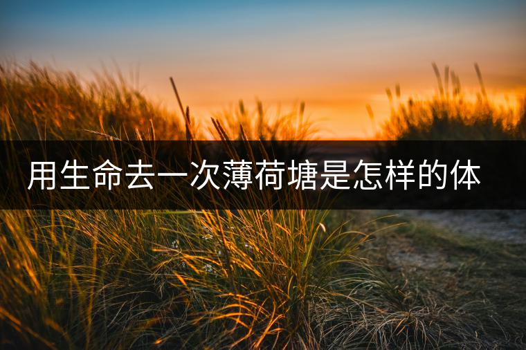 用生命去一次薄荷塘是怎樣的體驗(yàn)