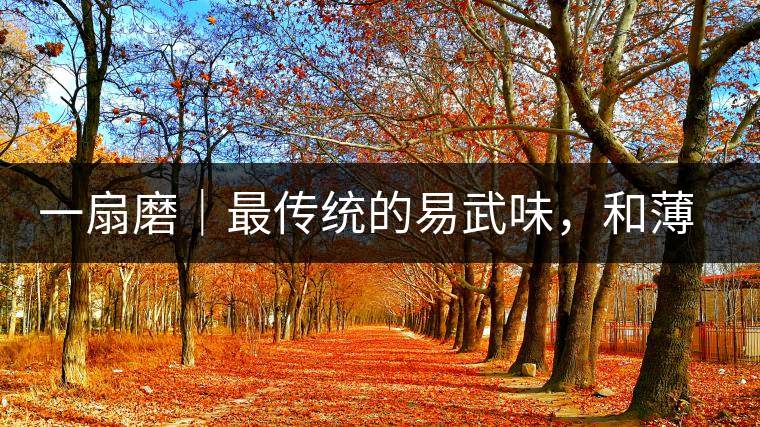 一扇磨｜最傳統(tǒng)的易武味，和薄荷塘一脈同宗，價(jià)格卻天差地別