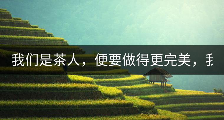 我們是茶人，便要做得更完美，我們是茶客，便要懂得沉默...我們是茶人，便要做得更完美，我們是茶客，便要懂得沉默！