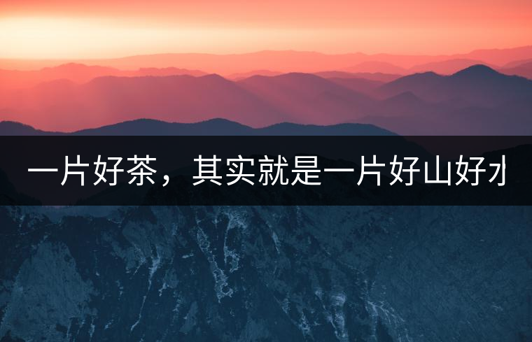 一片好茶，其實(shí)就是一片好山好水...一片好茶，其實(shí)就是一片好山好水...