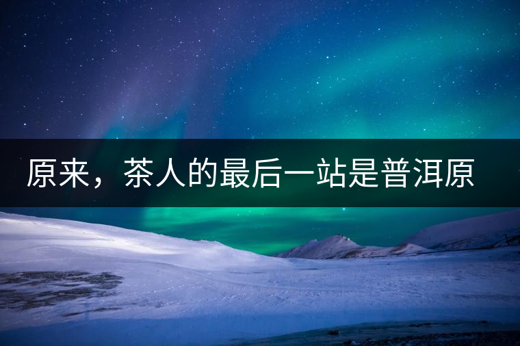 原來，茶人的最后一站是普洱原來，茶人的最后一站是普洱