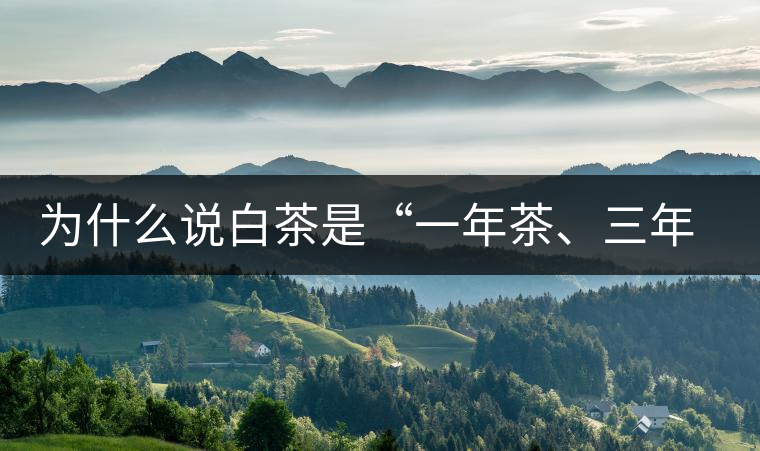 為什么說(shuō)白茶是“一年茶、三年藥、七年寶”?為什么說(shuō)白茶是“一年茶、三年藥、七年寶”？