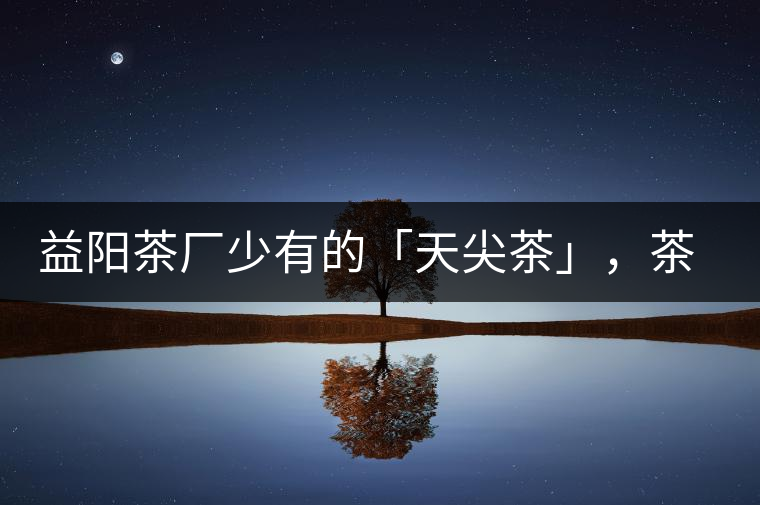 益陽(yáng)茶廠少有的「天尖茶」，茶品升級(jí)，收藏趁早！