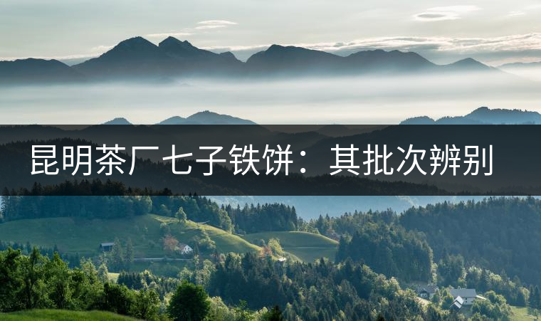 昆明茶廠七子鐵餅：其批次辨別、配方、年份大盤點(diǎn)！