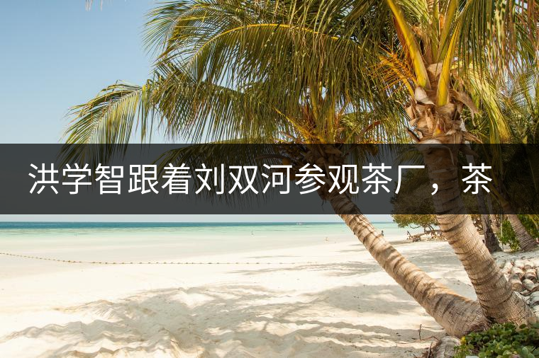 洪學(xué)智跟著劉雙河參觀茶廠，茶廠黃老板對(duì)賣苦力的百姓百般欺凌