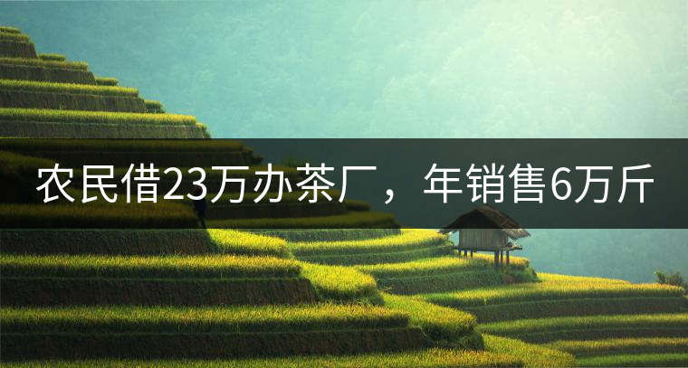 農(nóng)民借23萬辦茶廠，年銷售6萬斤，每天休息僅20分鐘!農(nóng)民借23萬辦茶廠，年銷售6萬斤，每天休息僅20分鐘！
