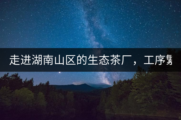 走進湖南山區(qū)的生態(tài)茶廠，工序繁雜精細(xì)，538塊錢1斤真值走進湖南山區(qū)的生態(tài)茶廠，工序繁雜精細(xì)，538塊錢1斤真值