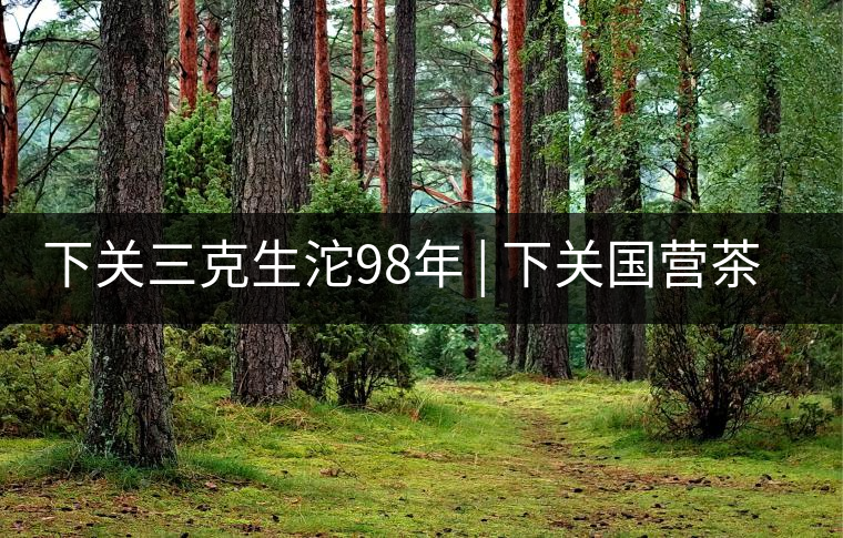 下關三克生沱98年 | 下關國營茶廠出口料，干倉儲存，...下關三克生沱98年 | 下關國營茶廠出口料，干倉儲存，19年老茶！