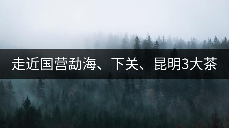 走近國營勐海、下關(guān)、昆明3大茶廠，傳世代表作的發(fā)展詳...走近國營勐海、下關(guān)、昆明3大茶廠，傳世代表作的發(fā)展詳解