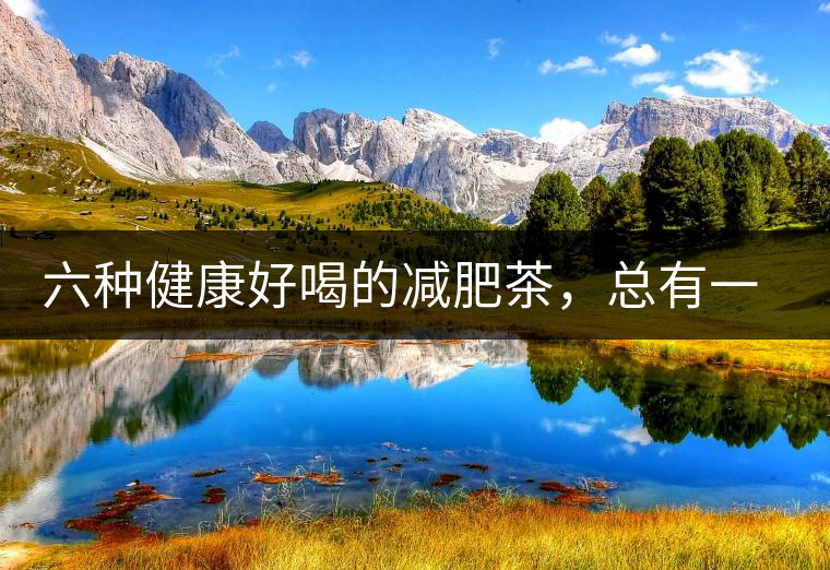 六種健康好喝的減肥茶，總有一種適合你