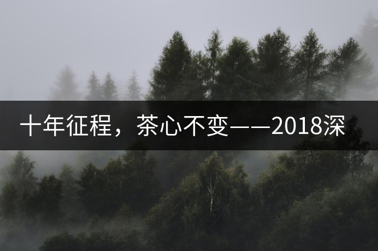十年征程，茶心不變——2018深圳秋季茶博會12月13日隆重開幕！