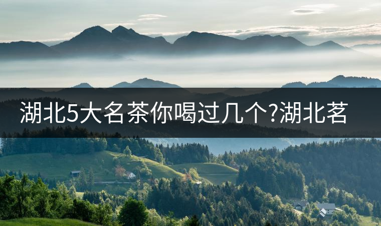湖北5大名茶你喝過幾個?湖北茗茶的歷史故事?湖北茶哪...湖北5大名茶你喝過幾個？湖北茗茶的歷史故事？湖北茶哪個產(chǎn)地好