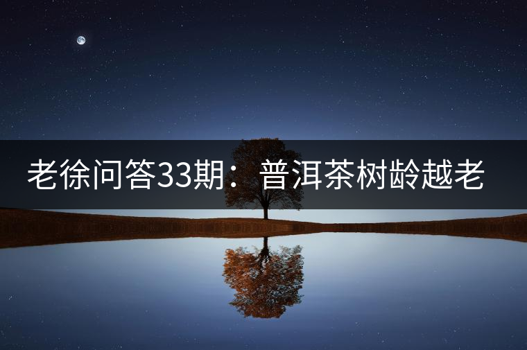 老徐問(wèn)答33期：普洱茶樹(shù)齡越老越貴，那100年樹(shù)齡的老班章呢？