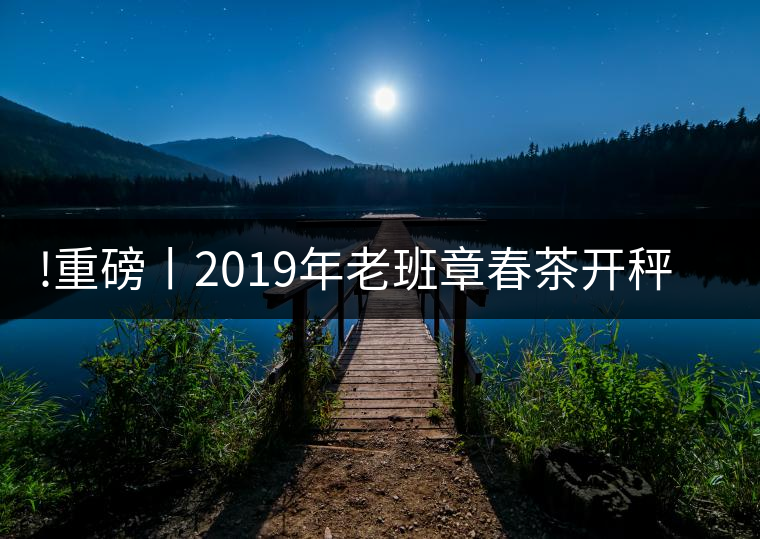 !重磅丨2019年老班章春茶開秤，一筆定價？如此出人意料！