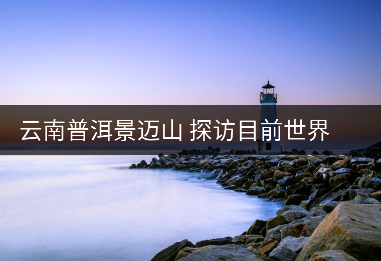 云南普洱景邁山 探訪目前世界上面積最大、年代最久遠(yuǎn)的古茶園