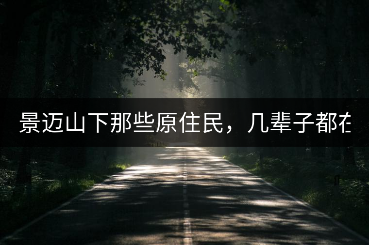 景邁山下那些原住民，幾輩子都在采茶、制茶，才有最...景邁山下那些原住民，幾輩子都在采茶、制茶，才有最好喝的普洱