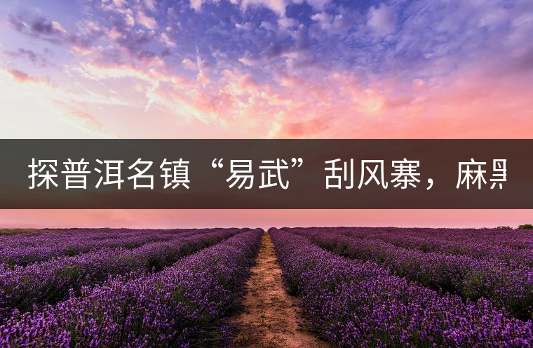 探普洱名鎮(zhèn)“易武”刮風(fēng)寨，麻黑，落水洞!小編親自下...探普洱名鎮(zhèn)“易武”刮風(fēng)寨，麻黑，落水洞！小編親自下手“殺青”