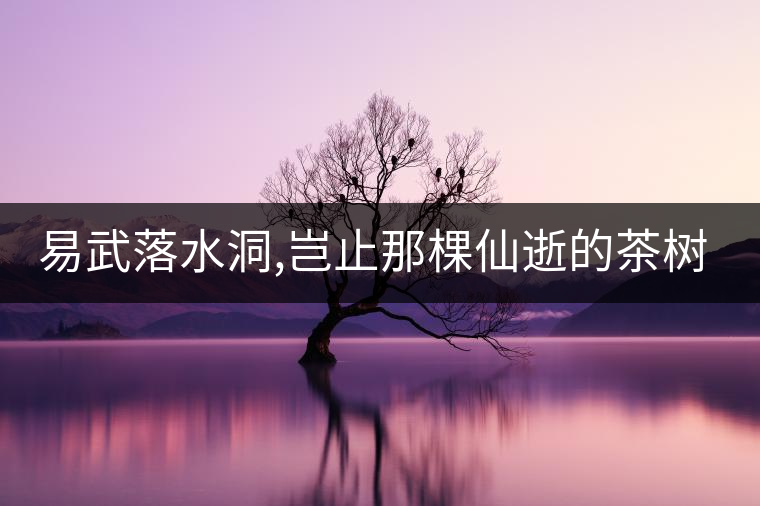 易武落水洞,豈止那棵仙逝的茶樹王?易武落水洞,豈止那棵仙逝的茶樹王？