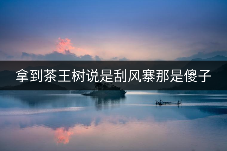 拿到茶王樹說是刮風(fēng)寨那是傻子