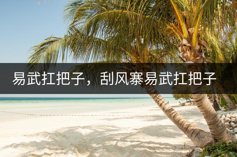 易武扛把子，刮風(fēng)寨易武扛把子，刮風(fēng)寨