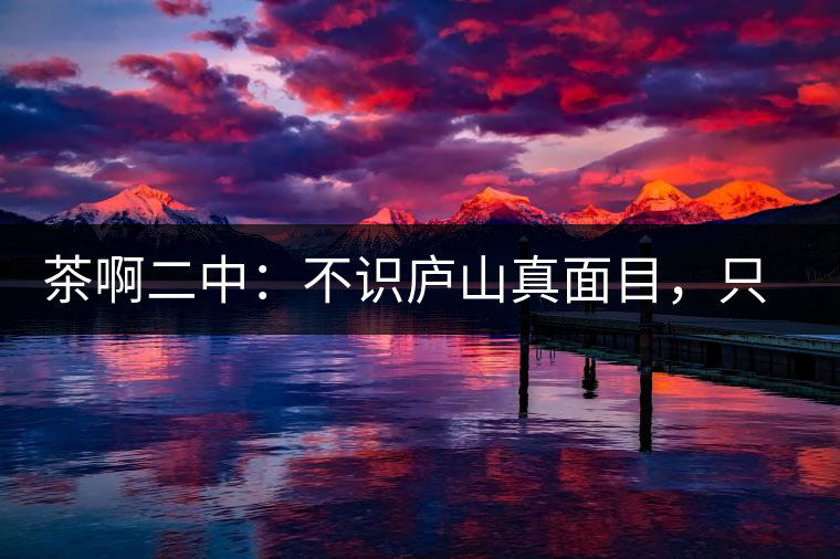 茶啊二中：不識(shí)廬山真面目，只識(shí)彎弓射大雕，賈淳真搞笑