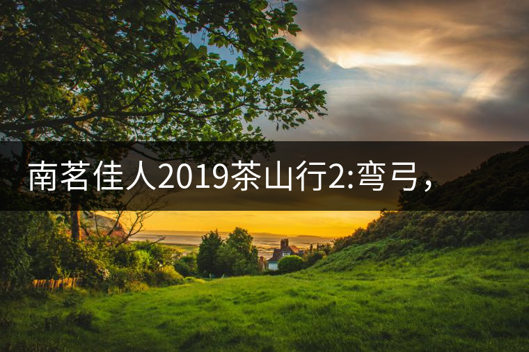 南茗佳人2019茶山行2:彎弓，一路艱辛，只為這有生命...南茗佳人2019茶山行2：彎弓，一路艱辛，只為這有生命厚度的茶！